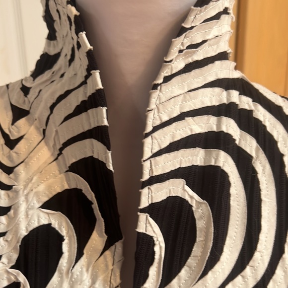 Absolutely gorgeous black & white jacket. - Picture 2 of 6